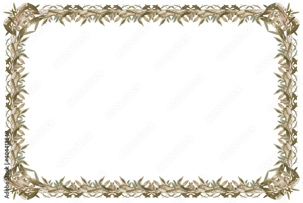 Cadre Champ tre Feuilles D olivier Fond Blanc Stock Illustration cadre-champ-tre-feuilles-d-olivier-fond-blanc-stock-illustration