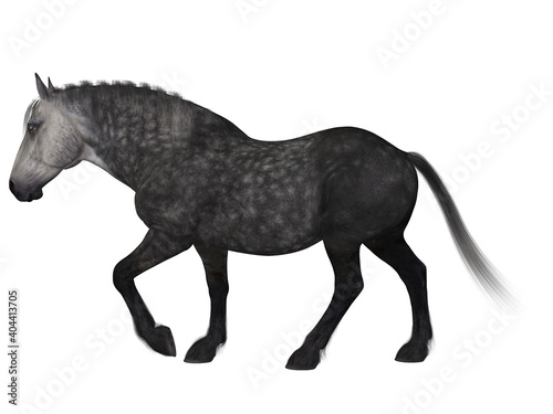 3d render of a percheron  a breed of draft horse