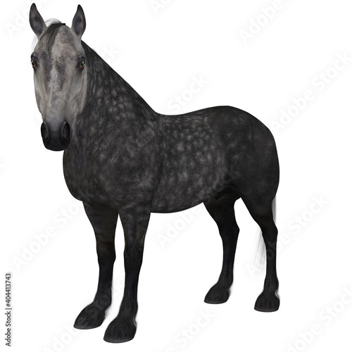 3d render of a percheron  a breed of draft horse