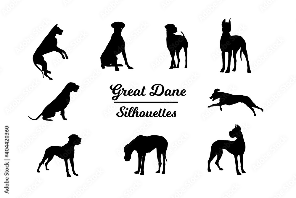 Φωτογραφία Great Dane silhouettes. Black and white outline