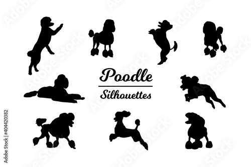 Poodle silhouettes. Black and white outline