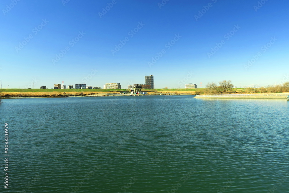 風のある冬の江戸川風景 風のある冬の江戸川風景