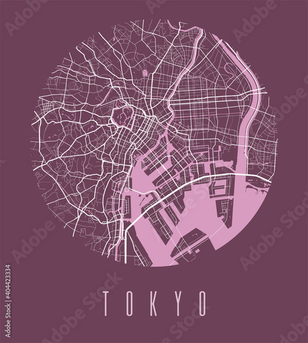 Tokyo map poster. Decorative design street map of Tokyo city, cityscape aria panorama.