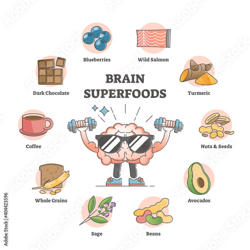 Brain superfoods as nutrition diet products to improve memory outline concept