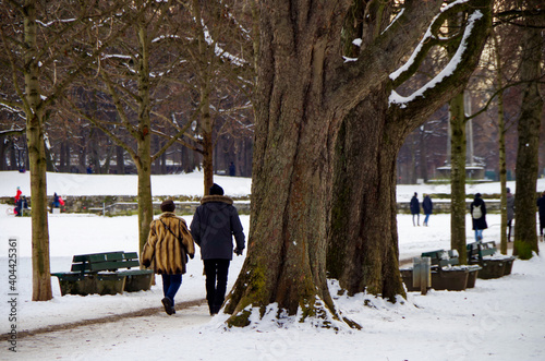 Empty park benches underneath snow covered trees in public park Luitpoldpark in romantic, picturesque landscape winter wonderland scenery with walking and jogging people photo