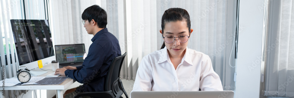 Asian Software engineer Programmer team working together on project of the System Coding New Application In IT Company Office Asian Software engineer Programmer team working together on project of the System Coding New Application In IT Company Office