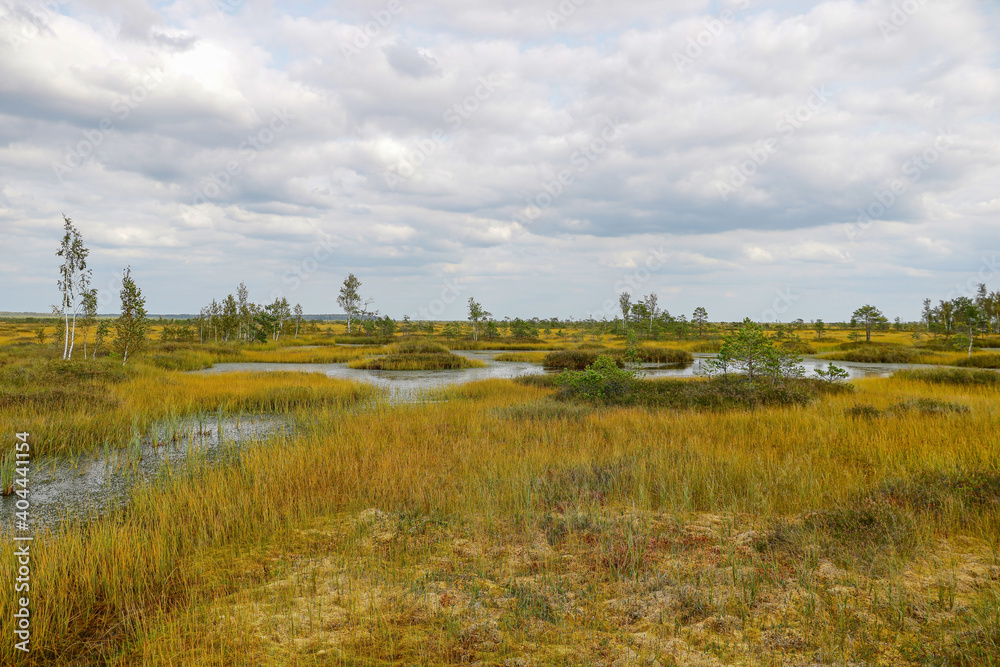 View of the marshland on a cloudy autumn day.
