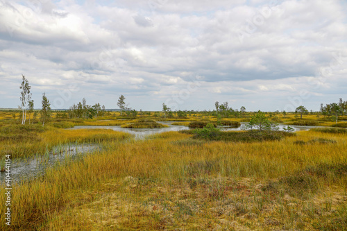 View of the marshland on a cloudy autumn day.