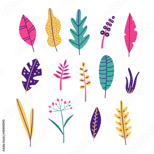 Big set, collection of tropical leaves clipart element