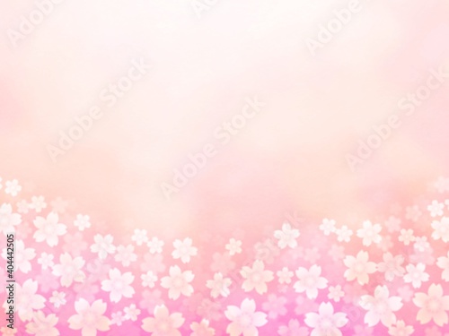 Fototapeta Naklejka Na Ścianę i Meble -  淡い桜の花が咲き広がるイラスト no.03