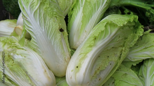 Fotografie Mustard greens at traditional market