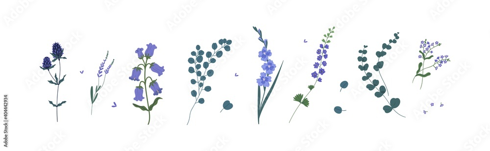 Εκτύπωση καμβά Set of wild and garden flowers and decorative green plants isolated on white background