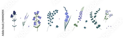 Slika na platnu Set of wild and garden flowers and decorative green plants isolated on white background
