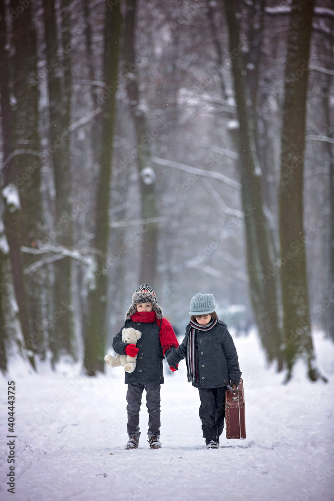 Two children, boy brothers, walking in a forest with old suitcase