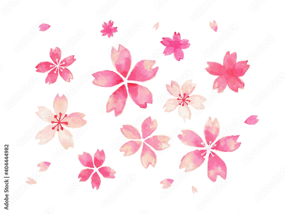水彩風　桜