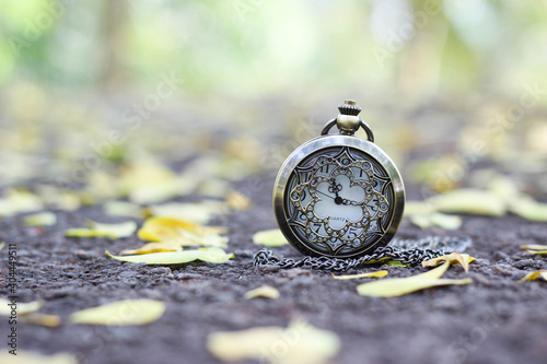 pocket watch on pavement with autumn dry leaves