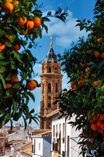 San Sebastian church tower in Antequera, Malaga Province, Andalusia, Spain photo
