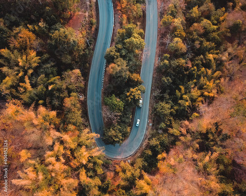 The road from above in the evening orange forest