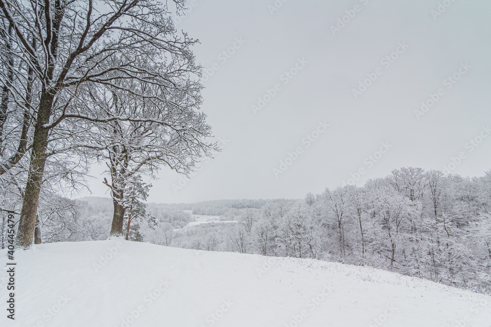 Bright winter landscape with snow covered trees Bright winter landscape with snow covered trees