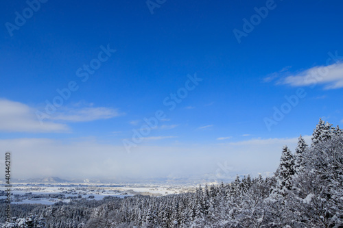 冬の森林 雪山 風景 秋田県 1月