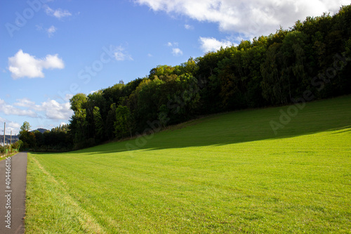 Fototapeta Naklejka Na Ścianę i Meble -  landscape with grass and sky