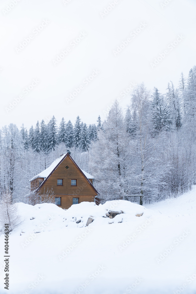 Cozy wooden house located in the Karkonosze Mountains between Poland and the Czech Republic in a cold winter, with a pine forest and lots of snow. Cozy wooden house located in the Karkonosze Mountains between Poland and the Czech Republic in a cold winter, with a pine forest and lots of snow.
