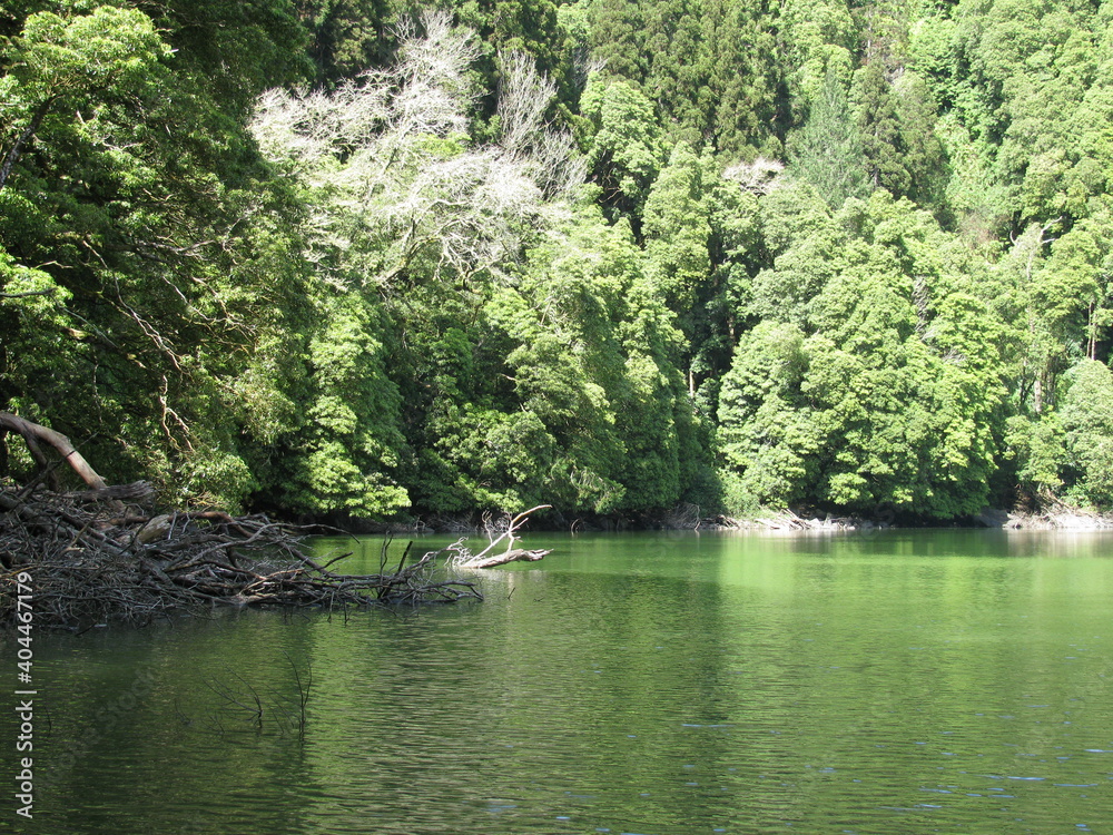 Fototapeta premium Azores