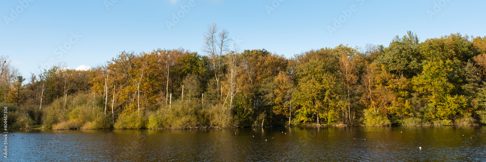 Herbstwald im Naturschutzgebiet Beversee, Bergkamen, Nordrhein-Westfalen, Deutschland