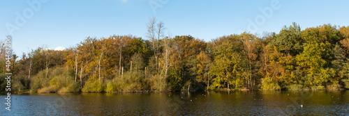 Herbstwald im Naturschutzgebiet Beversee, Bergkamen, Nordrhein-Westfalen, Deutschland © lichtbildmaster
