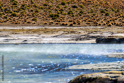 The salt lake Salar de Surire, Putre, Arica y Parinacota Region, Chile photo