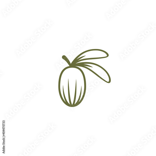 Shea nut green icon. vitellaria beauty and cosmetics oil.