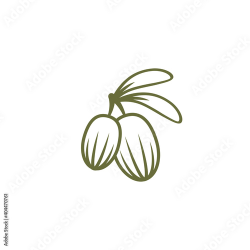 Shea nut green icon. vitellaria beauty and cosmetics oil.