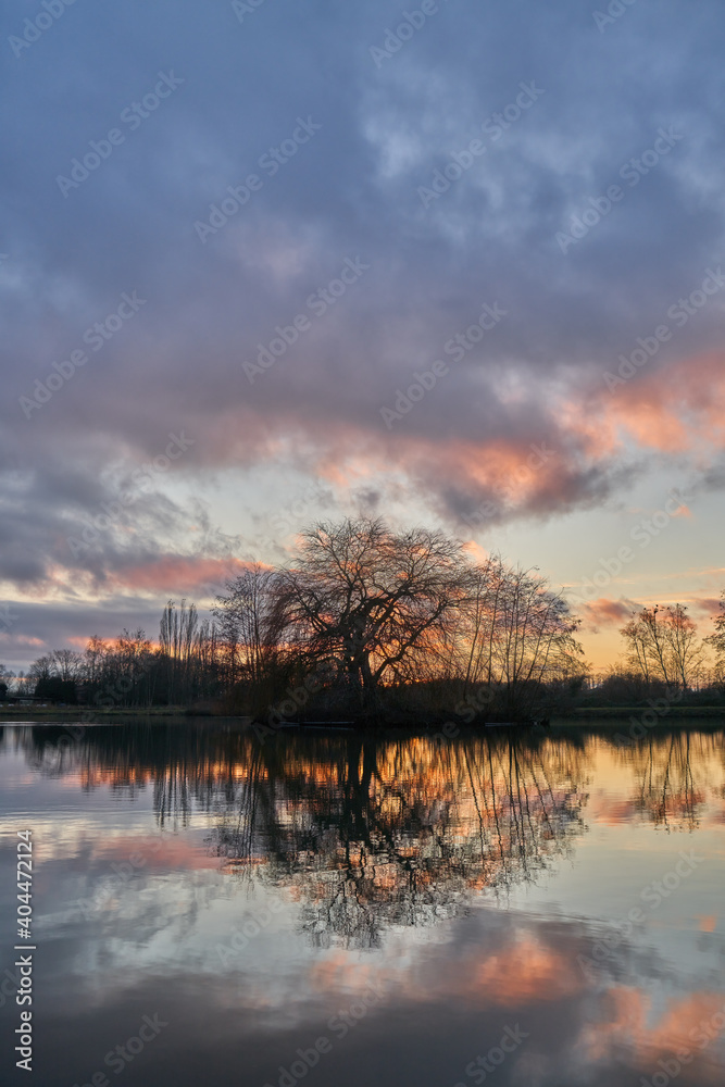 scenic vivid sunset sky over a pond with leafless trees as silhouettes scenic vivid sunset sky over a pond with leafless trees as silhouettes