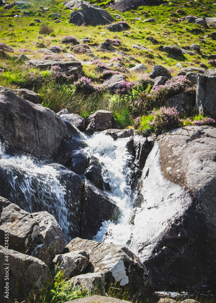 Flowing stream Flowing stream