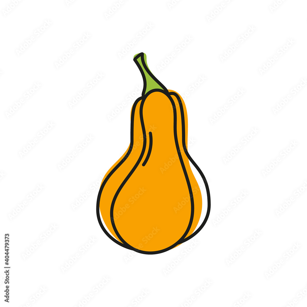 Orange pumpkin vector icon. Symbol of Halloween, Thanksgiving Day. Isolated vegetable on a white background. Orange pumpkin vector icon. Symbol of Halloween, Thanksgiving Day. Isolated vegetable on a white background.