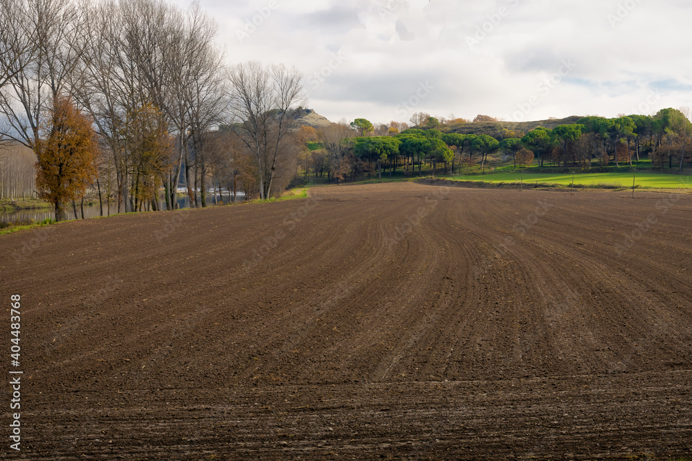 Naklejka premium A newly tilled field with a forest of ocher colors in the background, are part of a spectacular winter landscape in Torello, Catalonia, Spain