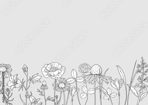black and white background with wildflowers pattern