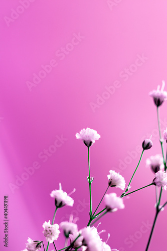Fototapeta Naklejka Na Ścianę i Meble -  
Created with small white flowers, macro photo, gypsophila, close-up, artistic design and colors.