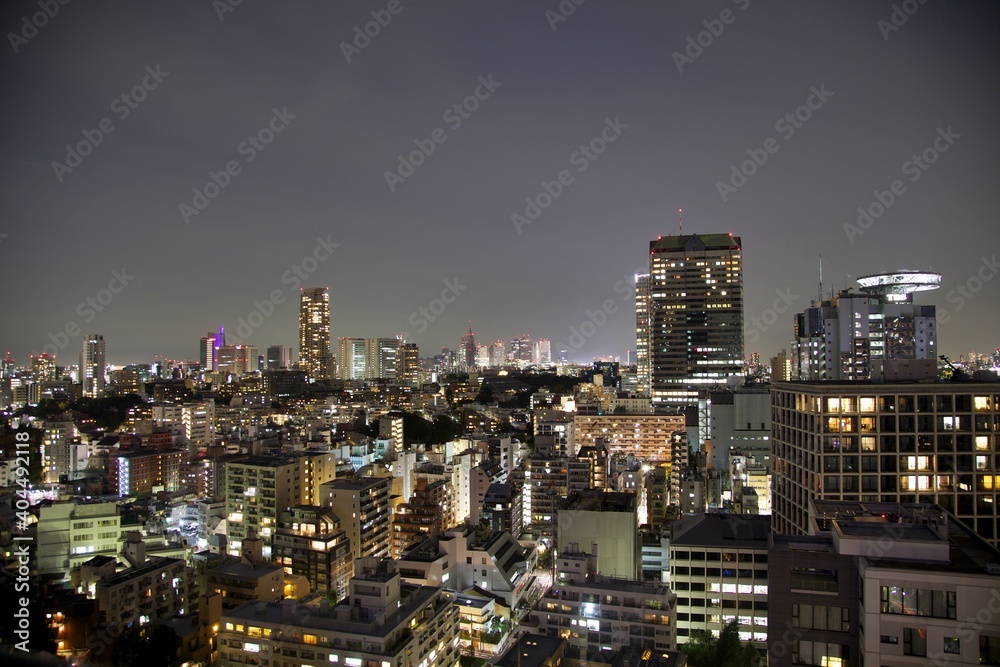Tokyo - view of Shinjuku in the distance at night, taken from Akasaka