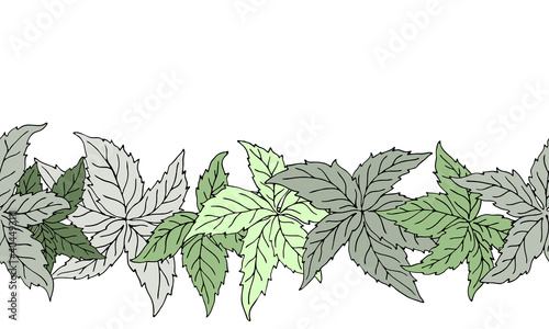 Hand drawn nature seamless pattern with virginia creeper leaves. Colored endless vector border tracery	