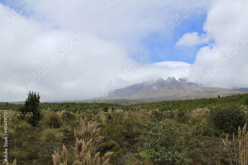 Natural landscape with Cotopaxi volcano in the background in Ecuador