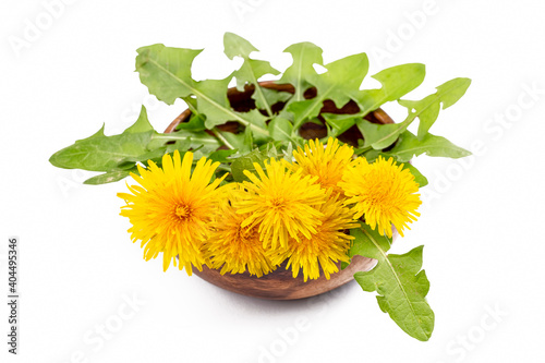 Yellow dandelion, taraxacum officinale on the white background