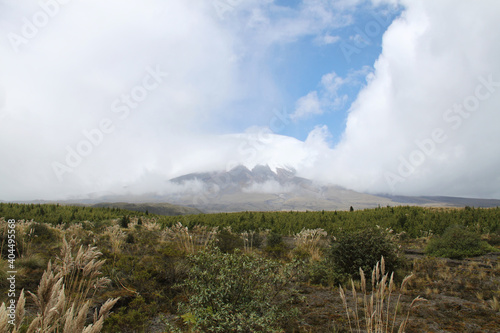 Natural landscape with Cotopaxi volcano in the background in Ecuador