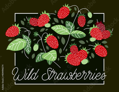 Fresh delicious ripe wild strawberries vector flat illustration on dark background, natural diet food vegetation tasty eating, forest wild berries series.