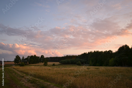 sunset over the field