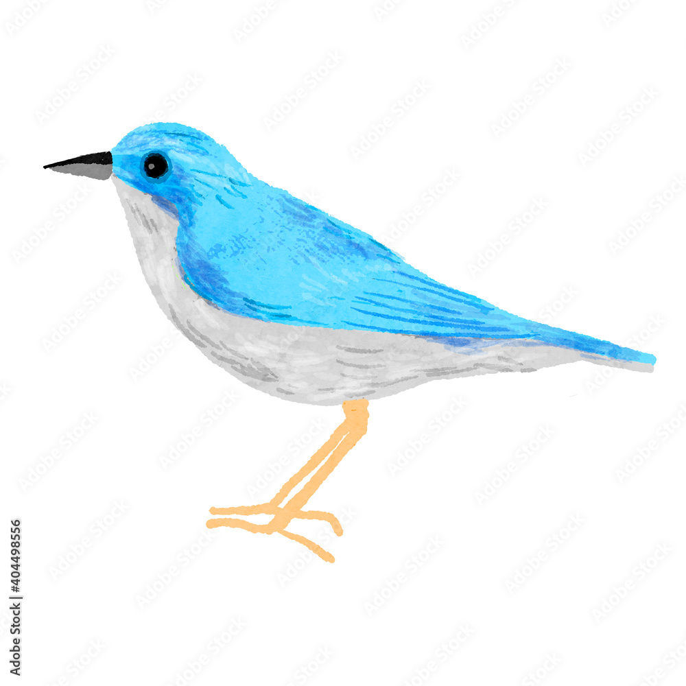 Blue bird hand drawn illustration
