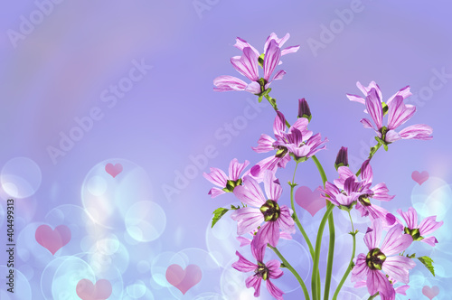 Valentine's Day. Beautiful background with a bouquet of beautiful lilac flowers with pink hearts and bokeh on a lilac background © fedotovalora