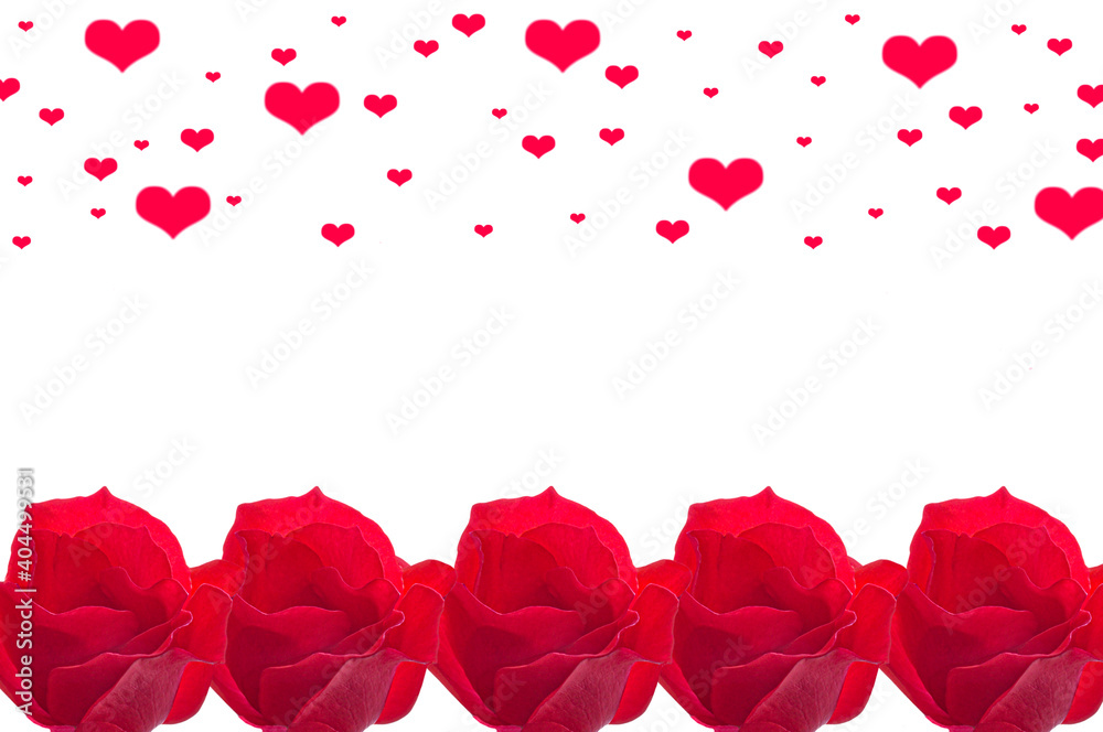 Valentine's Day. Beautiful background with red bright roses with red hearts on white isolated background