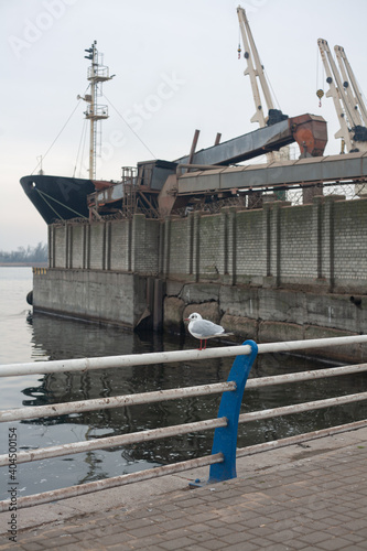 the ship in the harbor