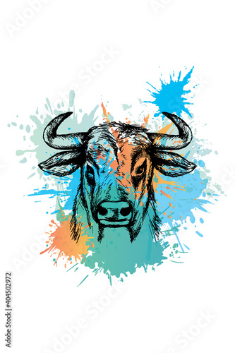 Bull sketch. Colorful sublimation on white background